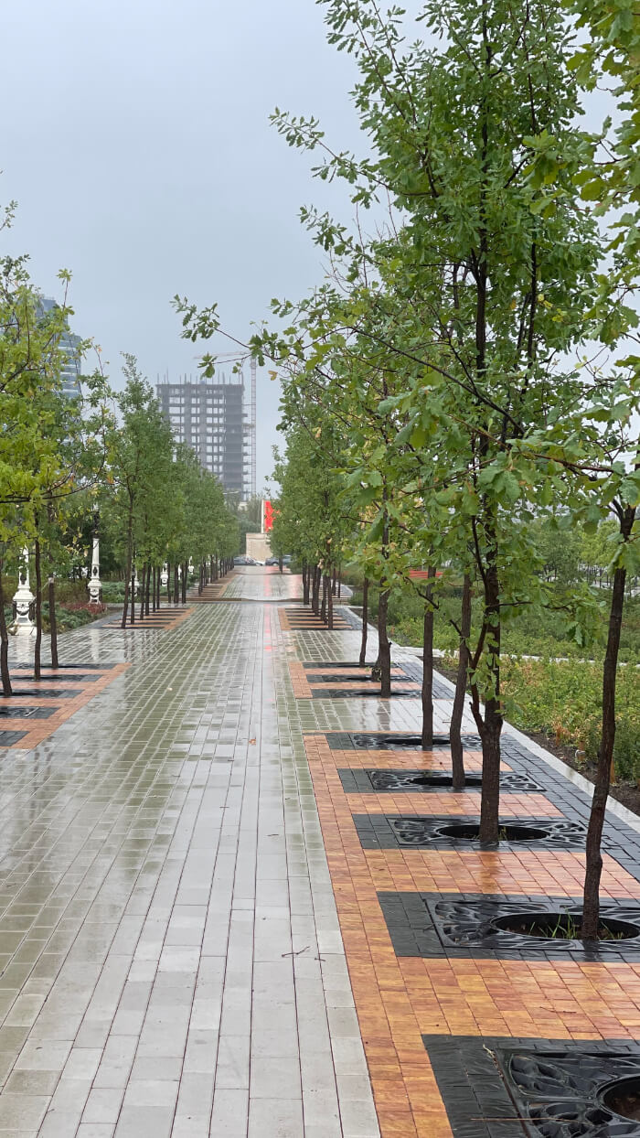 Приствольная решетка для дерева ZKING CRUST 1.2х1.2м Черная в Якутске фото