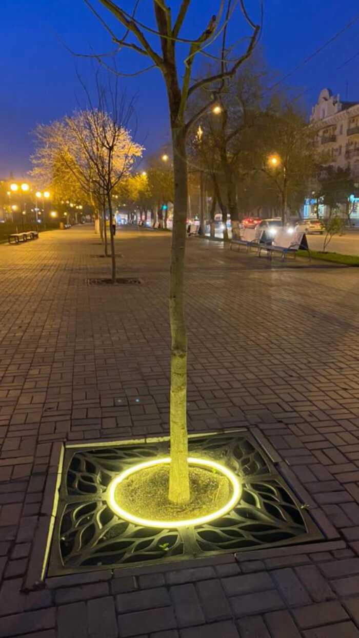 Приствольная решетка для дерева ZKING CRUST 1.2х1.2м Черная в Якутске фото